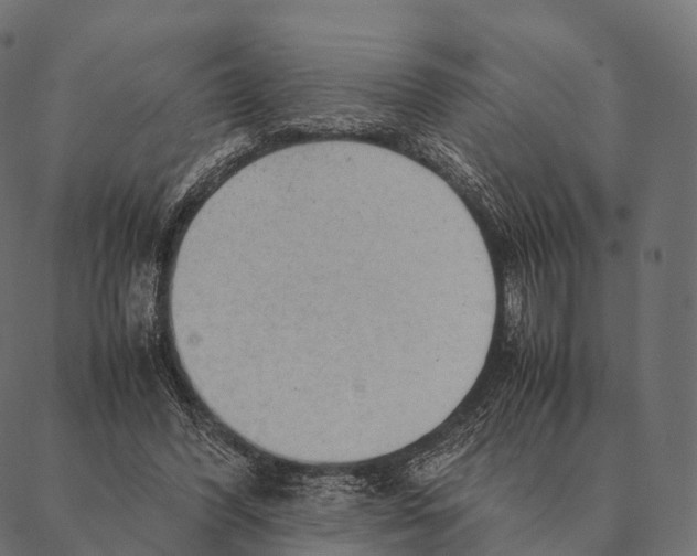 X0000087310396200705180951