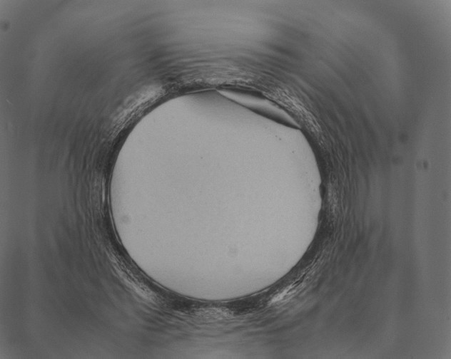 X0000087310397200705180951