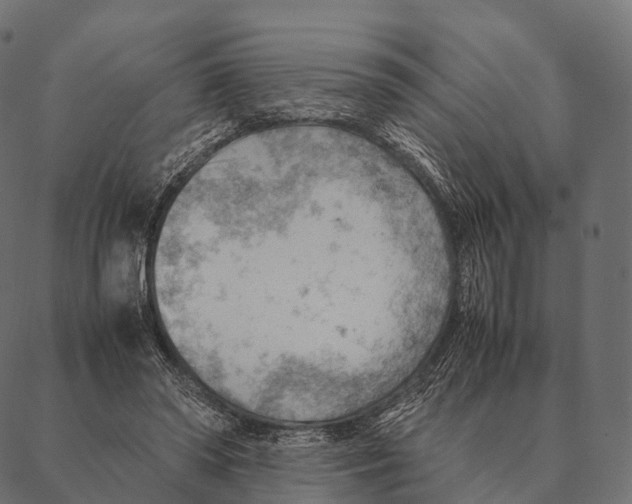 X0000087310398200705180951