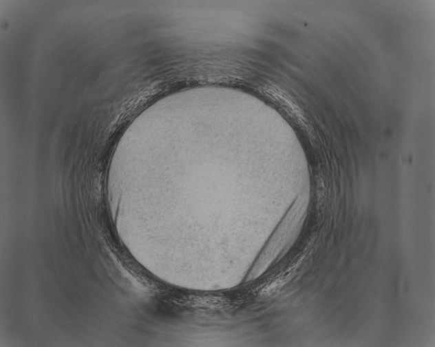 X0000087310401200705180951