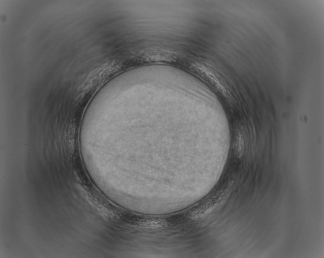 X0000087310402200705180951