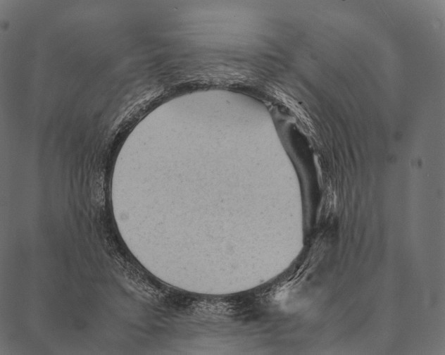 X0000087310403200705180951