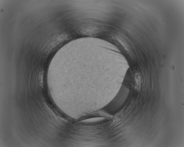 X0000087310404200705180951