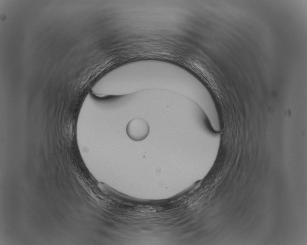 X0000087310405200705180951