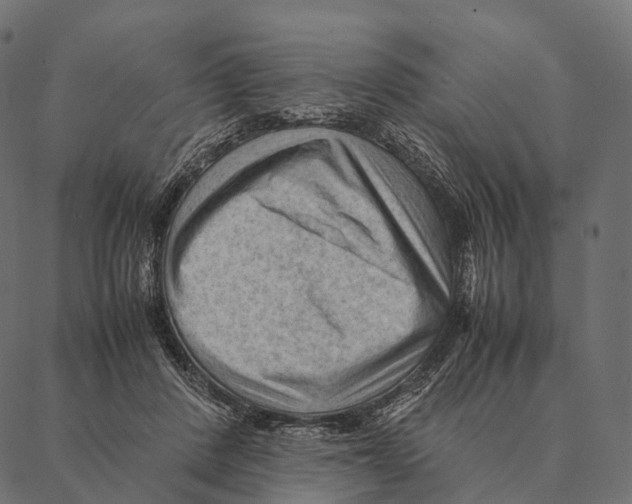 X0000087310408200705180951