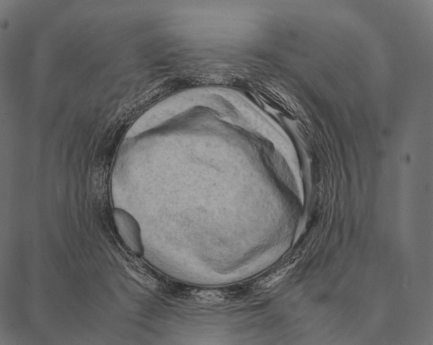 X0000087310409200705180951