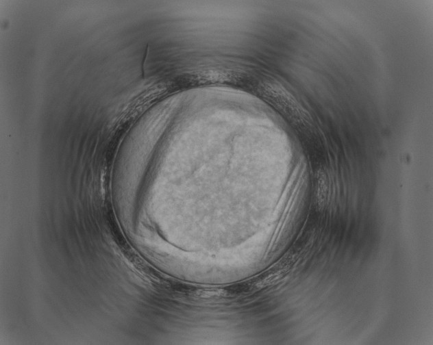 X0000087310410200705180951