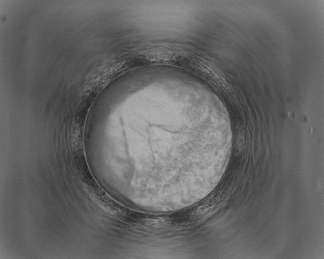 X0000087310411200705180951