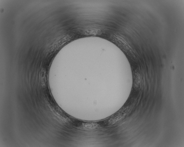 X0000087310414200705180951