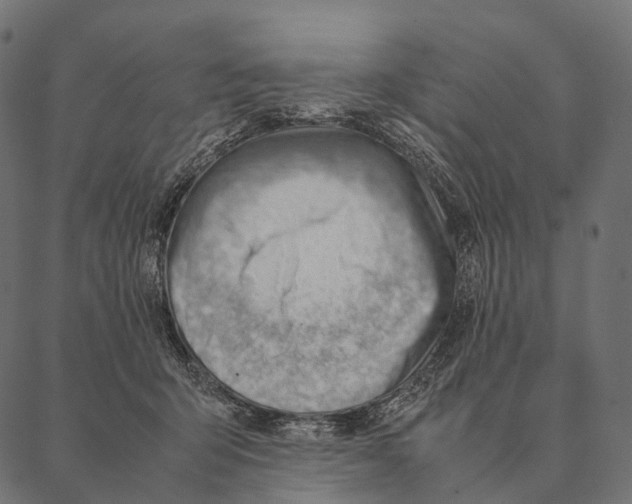 X0000087310415200705180951