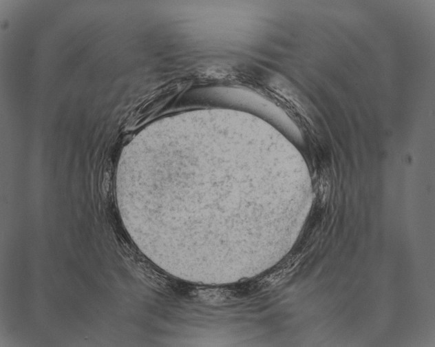 X0000087310417200705180951