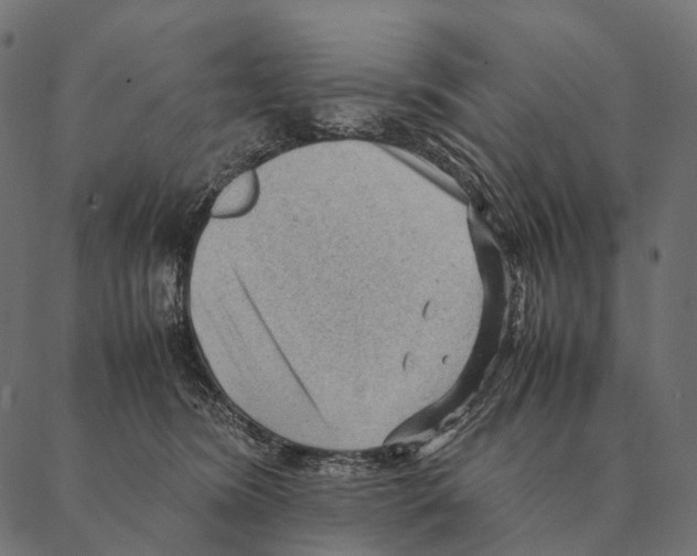 X0000087310420200705180951