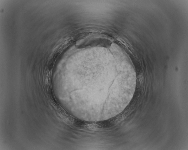 X0000087310423200705180951