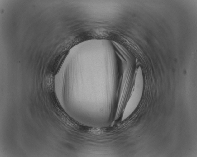 X0000087310425200705180951