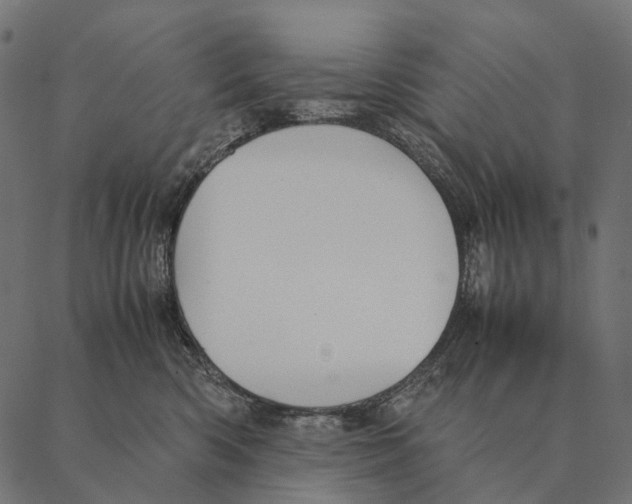 X0000087310426200705180951