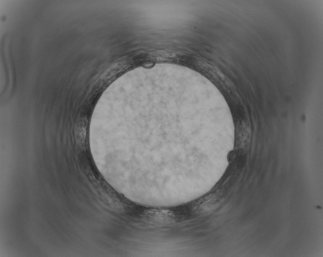 X0000087310427200705180951