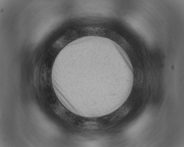 X0000087310430200705180950