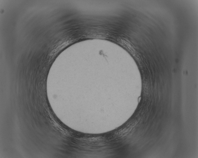 X0000087310433200705180950