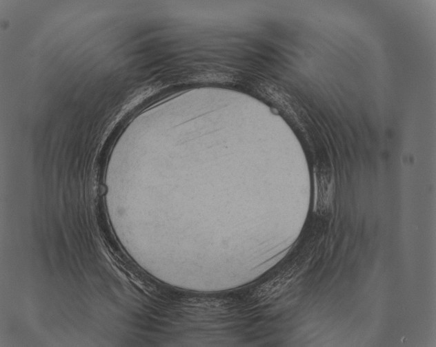 X0000087310435200705180950