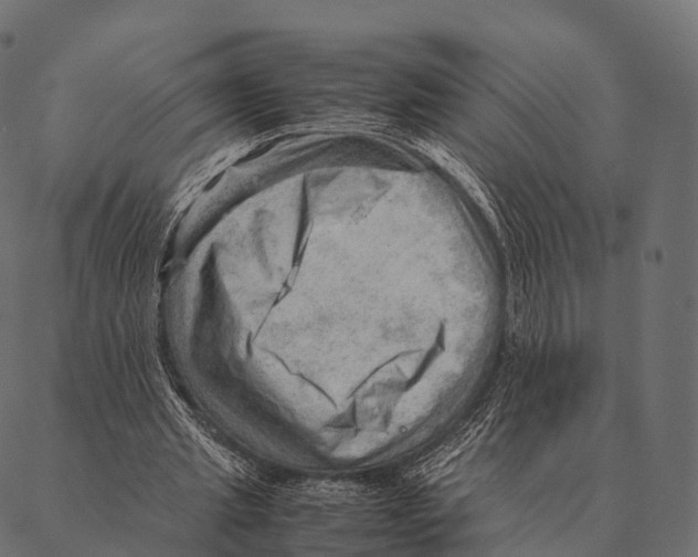 X0000087310437200705180950