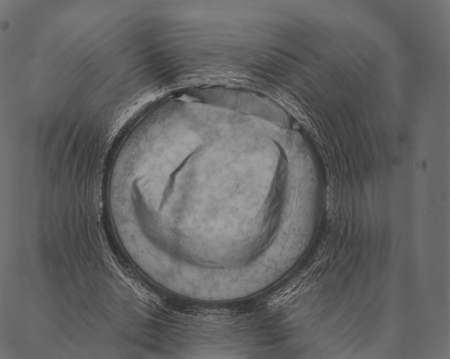 X0000087310438200705180950