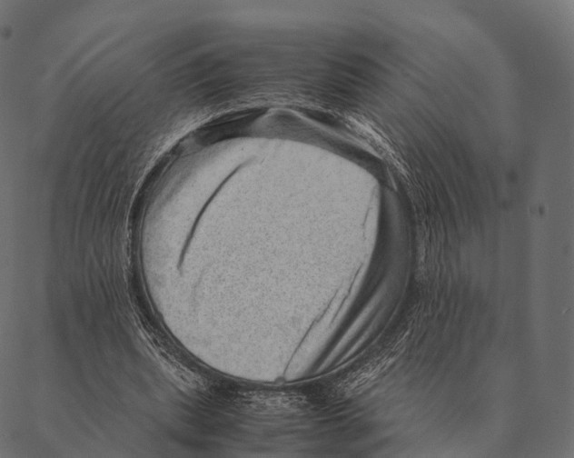 X0000087310439200705180950