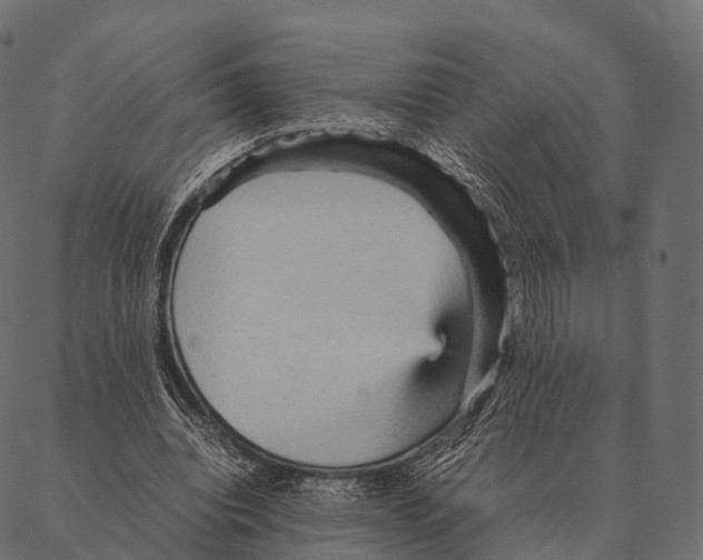 X0000087310440200705180950