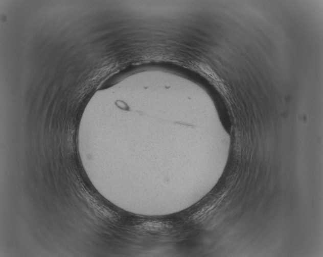 X0000087310441200705180950