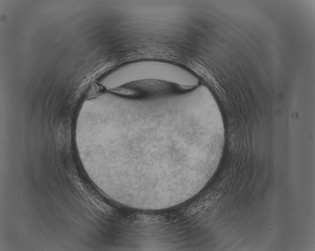 X0000087310442200705180950