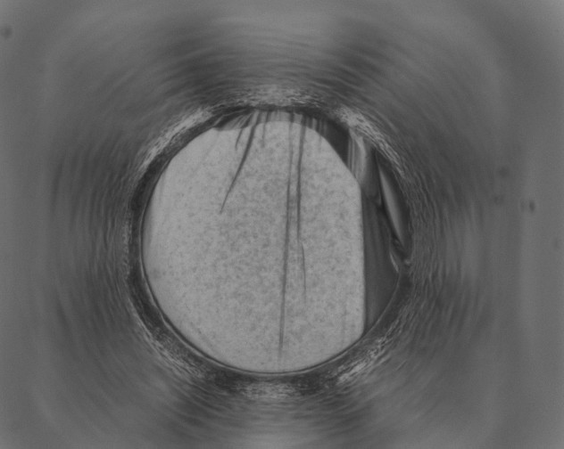 X0000087310444200705180950