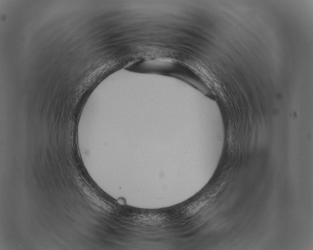 X0000087310445200705180950