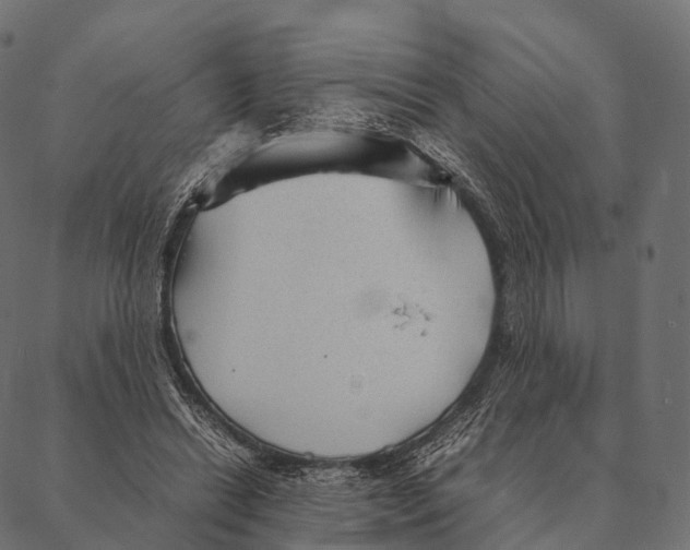 X0000087310446200705180950