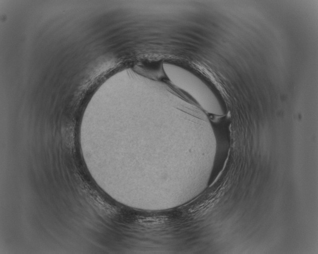 X0000087310447200705180950