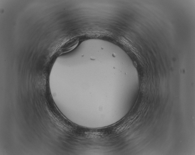 X0000087310448200705180950