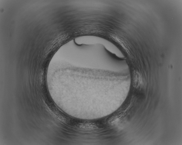 X0000087310451200705180950