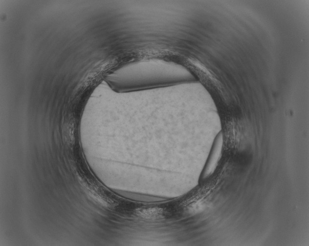 X0000087310452200705180950