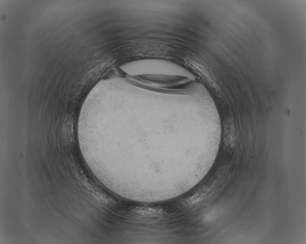 X0000087310453200705180950