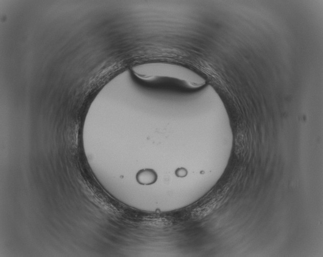 X0000087310454200705180950