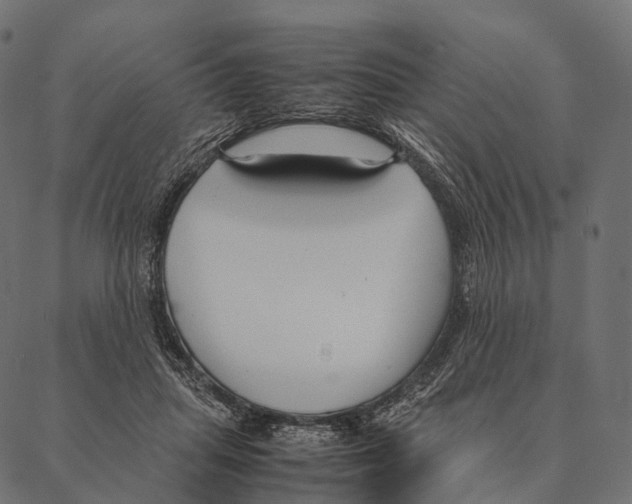 X0000087310455200705180950