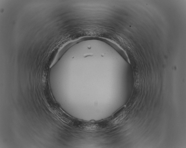 X0000087310456200705180950