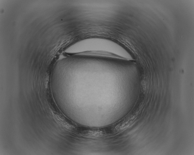 X0000087310458200705180950