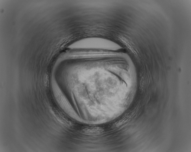 X0000087310459200705180950