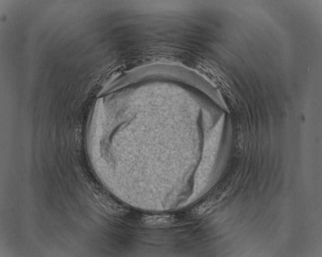 X0000087310461200705180950