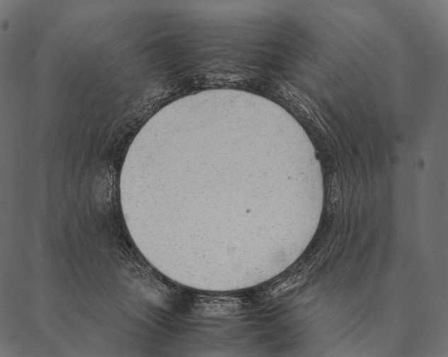 X0000087310463200705180950