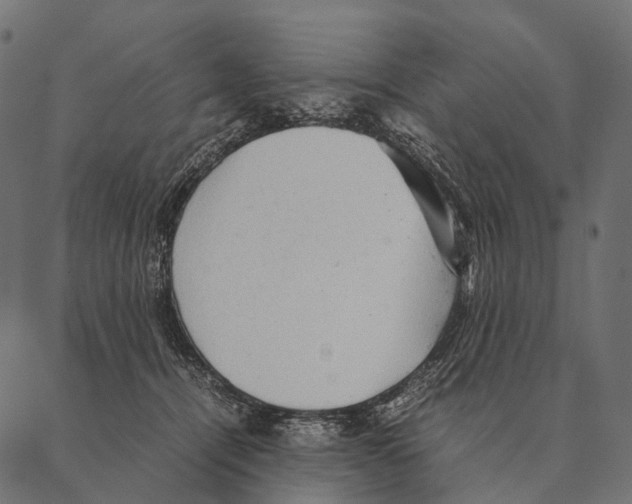 X0000087310464200705180950