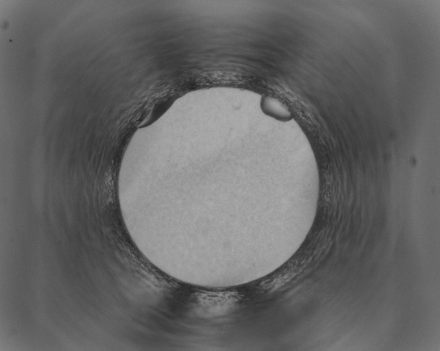 X0000087310465200705180950