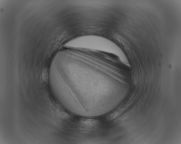 X0000087310467200705180950