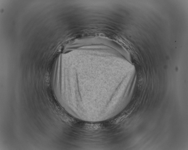 X0000087310469200705180950