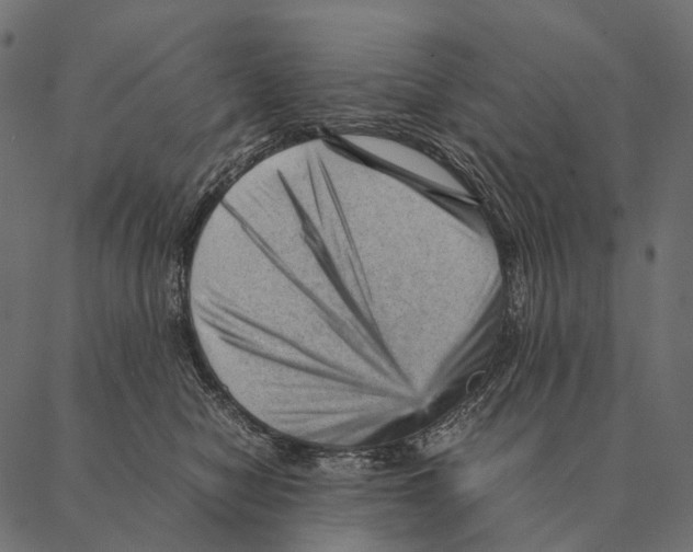 X0000087310470200705180950