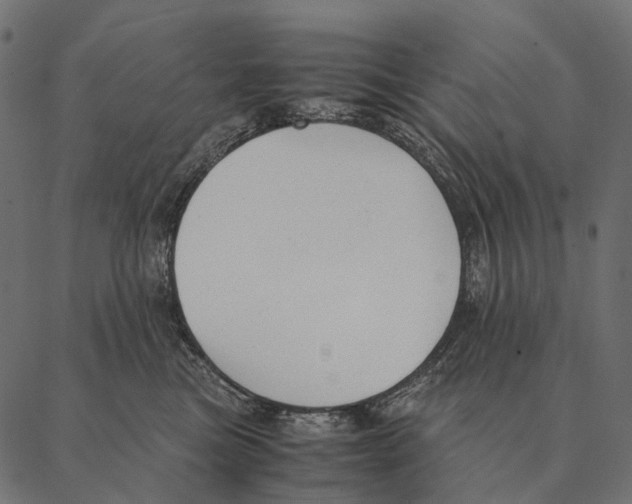 X0000087310473200705180950